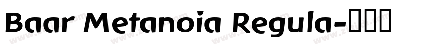 Baar Metanoia Regula字体转换